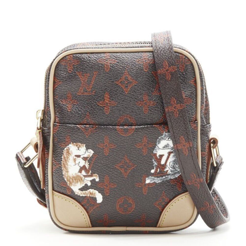 Louis Vuitton Monogram Camera Bag